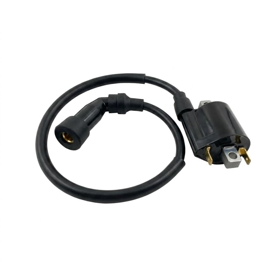 BOBINA DE ALTA FZ 2.0-BWS FI — imagen 1